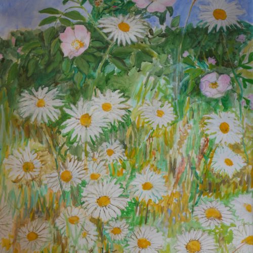 Frederick Gore CBE: Ox-eye Daisies