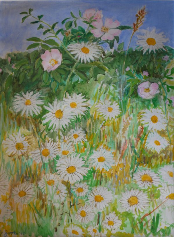 Frederick Gore CBE: Ox-eye Daisies