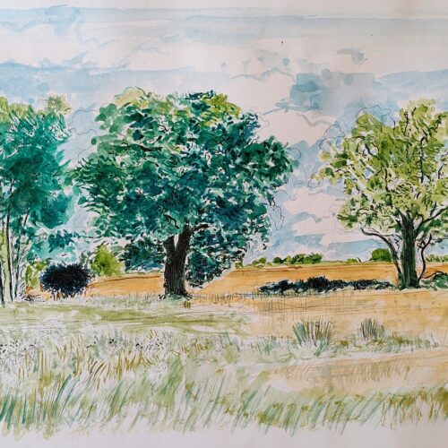 Near Tansor Wold by Jerome Badian