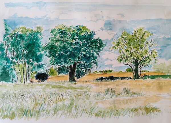 Near Tansor Wold by Jerome Badian