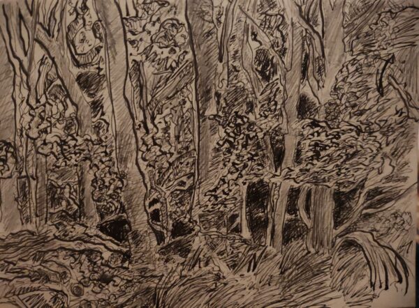 Near Tansor Wold by Jerome Badian